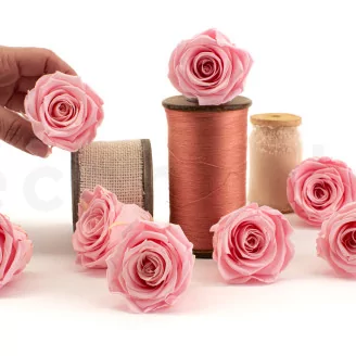 Preserved Rose L Bridal Pink (set of 8)