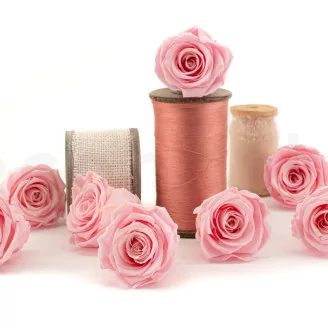 Preserved Rose L Bridal Pink (set of 8)