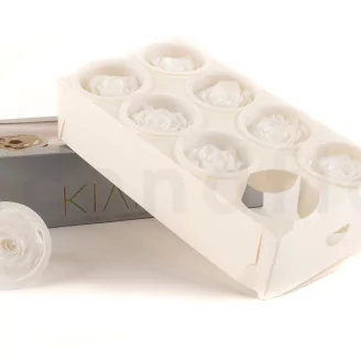 Preserved Rose L Pure White (set of 8)