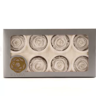 Preserved Rose L Pure White (set of 8)