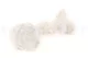 Preserved Rose L Pure White (set of 8) 1