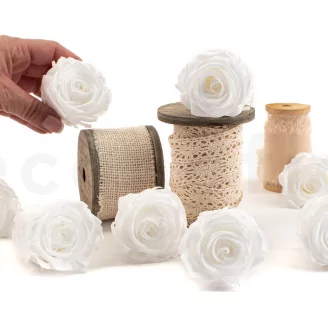 Preserved Rose L Pure White (set of 8)