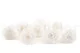 Preserved Rose L Pure White (set of 8) 2
