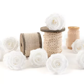 Preserved Rose L Pure White (set of 8)