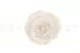 Preserved Rose L Pure White (set of 8) 6