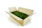 A Bulk Box with Preserved Long Moss, Ideal for Crafting Plant Frames