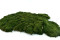 A Bulk Box with Preserved Long Moss, Ideal for Crafting Plant Frames