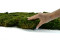A Bulk Box with Preserved Long Moss, Ideal for Crafting Plant Frames