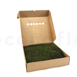 Preserved Long Moss (Box)