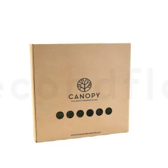 Preserved Long Moss (Box)