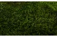 Preserved Long Moss (Box) 1