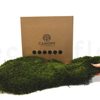 Preserved Long Moss (Box)