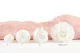 Preserved Rose XL White (set of 6) 12