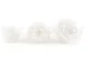 Preserved Rose XL White (set of 6) 4