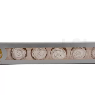 Preserved Rose XL White (set of 6)