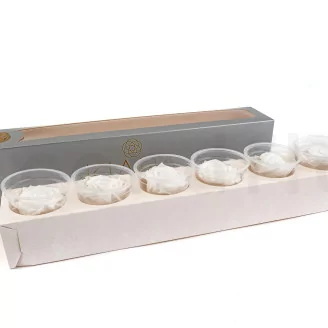 Preserved Rose XL White (set of 6)