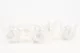 Preserved Rose XL White (set of 6) 3