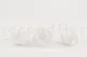 Preserved Rose XL White (set of 6) 8
