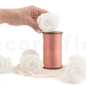 Preserved Rose XL White (set of 6)
