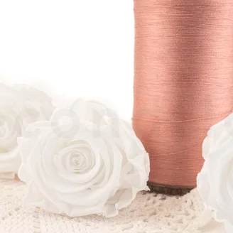 Preserved Rose XL White (set of 6)