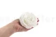 Preserved Mandala Rose XXL White 3