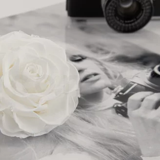 Preserved Mandala Rose XXL White