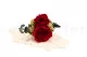 Corsage Red 6