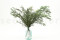 A Bunch of Greeen Preserved Eucalyptus Nicoly