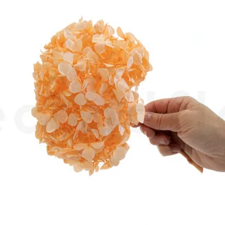 Preserved Hydrangea Orange