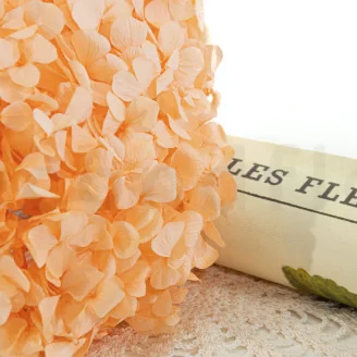 Preserved Hydrangea Orange