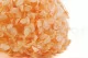 Preserved Hydrangea Orange 6