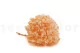 Preserved Hydrangea Orange 7