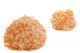 Preserved Hydrangea Orange 8