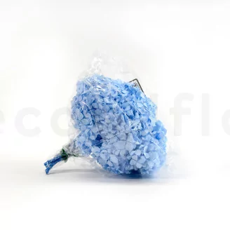 Preserved Hydrangea Light Blue