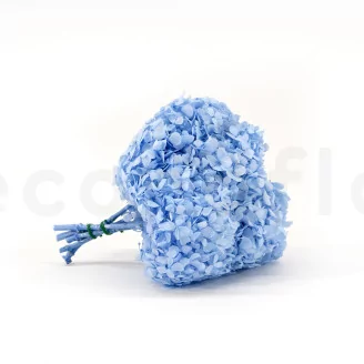 Preserved Hydrangea Light Blue