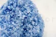 Preserved Hydrangea Light Blue 5
