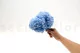 Preserved Hydrangea Light Blue 6