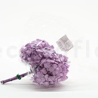 Preserved Hydrangea Lavender