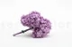 Preserved Hydrangea Lavender 4