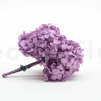 Preserved Hydrangea Lavender