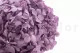 Preserved Hydrangea Lavender 7