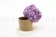 Preserved Hydrangea Lavender 3