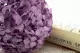 Preserved Hydrangea Lavender 2