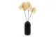 Preserved Anthurium White (set of 3) 3