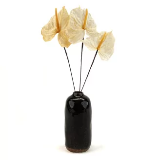 Preserved Anthurium White (set of 3)