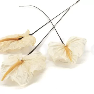 Preserved Anthurium White (set of 3)