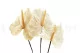 Preserved Anthurium White (set of 3) 9