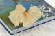 Preserved Anthurium White (set of 3) 12