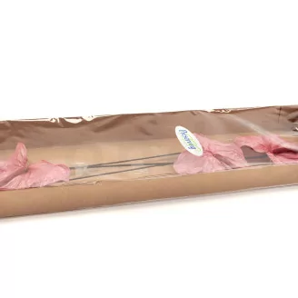 Preserved Anthurium Pink (set of 3)