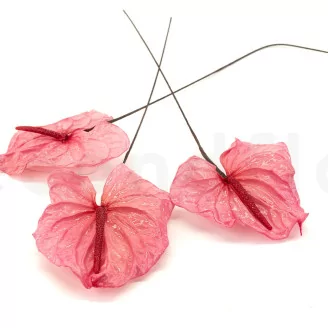 Preserved Anthurium Pink (set of 3)